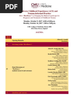 ACE-Resilience Agenda Draft