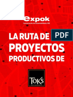 Proyectos Productivos Toks