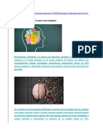 Juegos Cerebrales Que Te Harán Más Inteligente