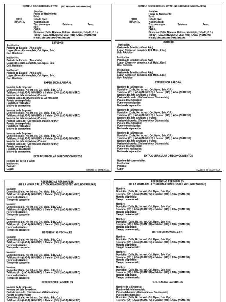Curriculum vitae calido 07 image