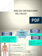 Alteraciones Del Metabolismo Del Calcio 1