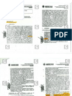 Documento