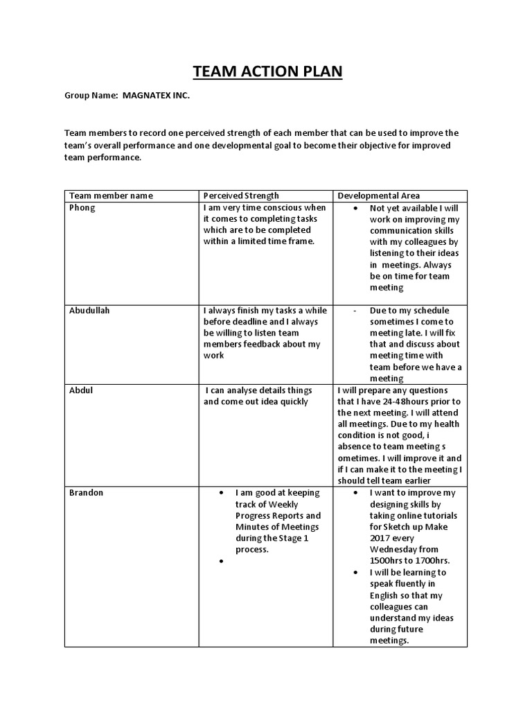Team Action Plan PDF Action (Philosophy) Behavioural Sciences