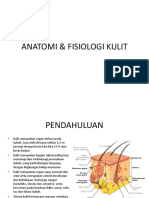 Anatomi & Fisiologi Kulit