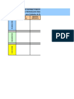 Formato Plan Accion Cronograma Proyecto NICSP