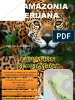 La Amazonia Peruana