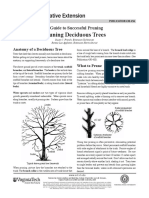 A Guide to Successful Pruning