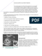 Resumen Imagenología Primer Trimestres de Gestacion