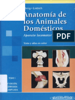Anatomia de Los Animales Domesticos Koning 1 PDF
