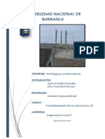 Patologias Constructivas-Informe PDF