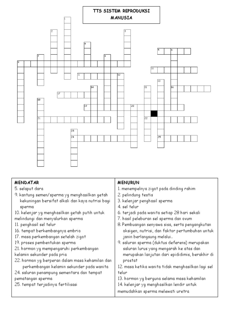 1 TTS Sistem Repro Kelas 9 | PDF