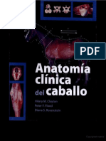 Anatomia Clinica Del Caballo - Hilary M Clayton (SPG) - 1