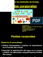 1-3 PPT Fluidos Corporales 2017 Ii