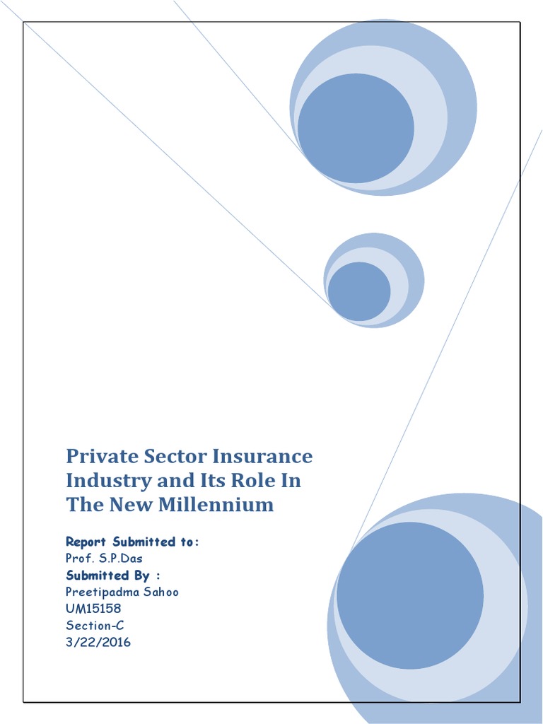Private Sector Insurance Industry and Its Role in The New Millennium ...