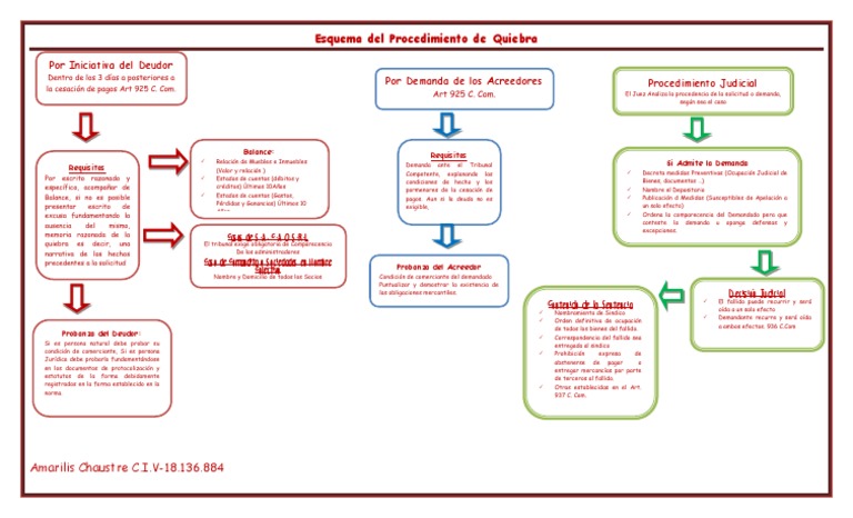 Procedimiento de quiebra: Esquema del proceso judicial para declarar la ...