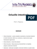 Ocluziile Intestinale PDF