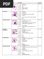 Lymphocyte Morphology Overview | PDF | Lymphocyte | Medical Specialties