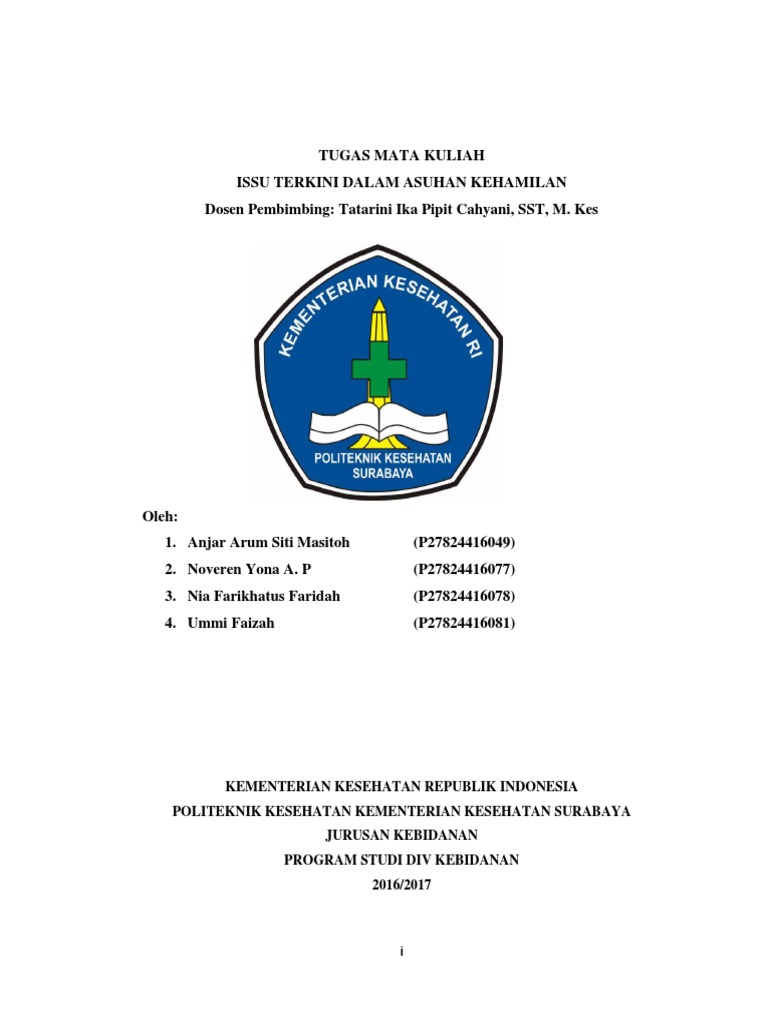 Makalah Issue Kehamilan