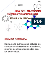 Quimica Del Carbono