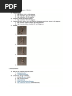 Goniometry of Hip | PDF