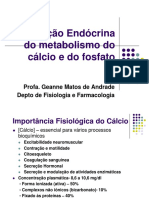 calcio_fosfato_geanne.pdf