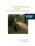 Camino de Santiago