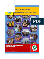 Profil Kesehatan Kabupaten Melawi Tahun 2015