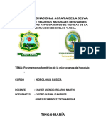 cuenca hidrografica de la selva.docx Hidrologia