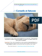 Chiot Conseils Et Astuces PDF
