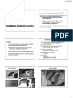 18a_Anestesia_pequenos.pdf