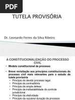 Leonardo Ferres 29-07 Tutela Provisória(1)