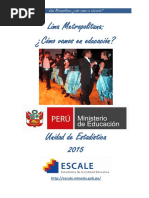 Perfil Lima Metropolitana (1).pdf