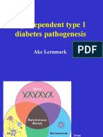 3 Age Dependent Type 1 Diabetes Pa Tho Genesis