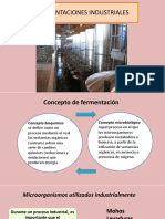 Fermentaciones Industriales