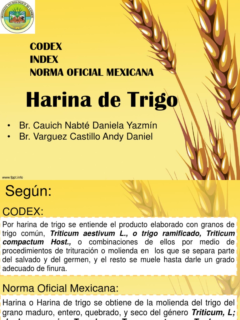 Harina de Trigo PDF Trigo Seguridad alimenticia