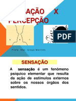 01 aula 01 SENSAÇÃO E PERCEPÇÃO.pdf