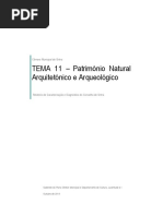 Tema 11 Patrimonio Natural Arquitetonico e Arqueologico