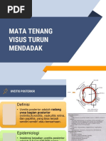 Referat Mata Tenang Visus Turun Mendadak