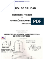 Control de Diseño y Calidad