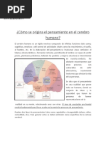 Cómo Se Origina El Pensamiento en El Cerebro Humano