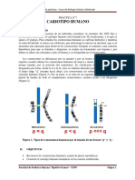 Practica - Cariotipo Humano (1).docx