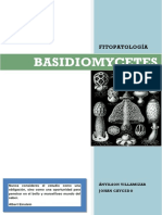 Basidiomycetes Caracteristicas Generales PDF