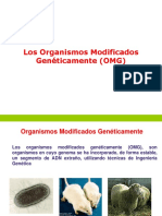 Transgénicos 2.pdf