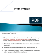 sistem syaraf 