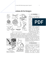 Estructura de los Hongos.pdf