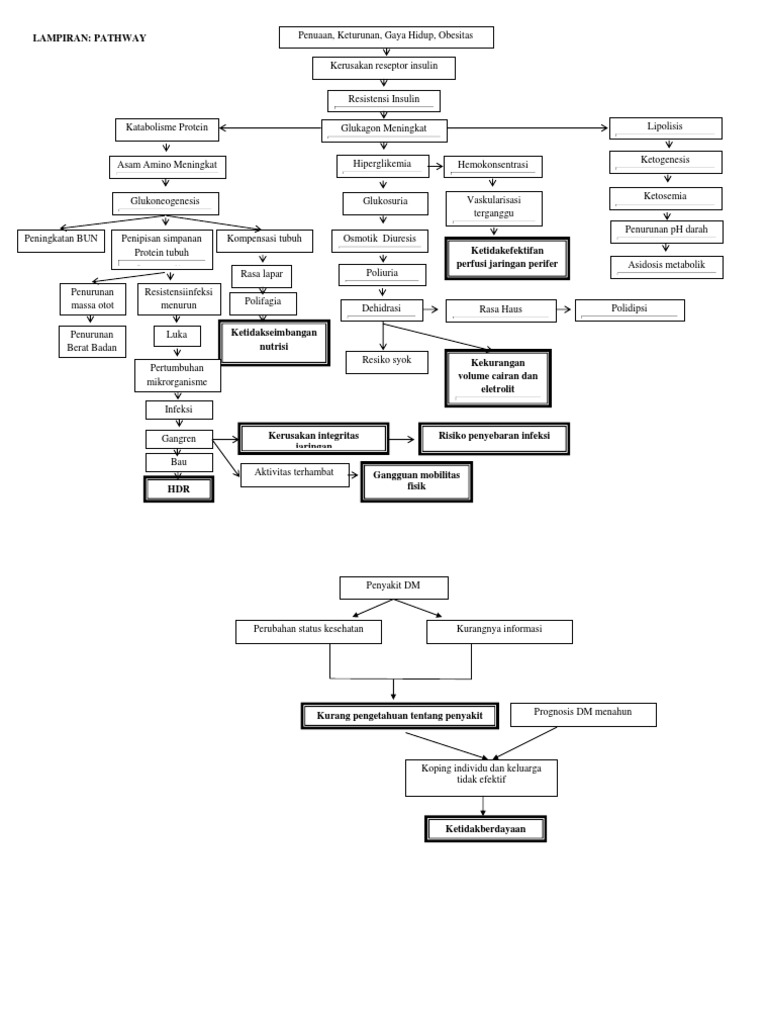 Pathway Diabetes Melitus | PDF