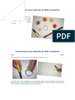 Construindo Uma Molécula de DNA Comestível