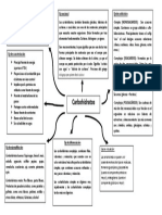 Carbohidatos 1 PDF