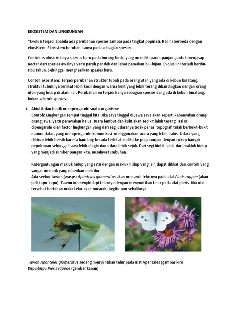 Fisiologi Terinte 5 Agustus 2017 Docx