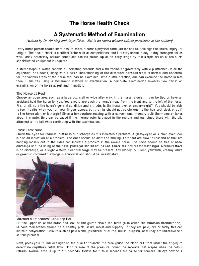 Horse Health Check Description PDF Horses Heart